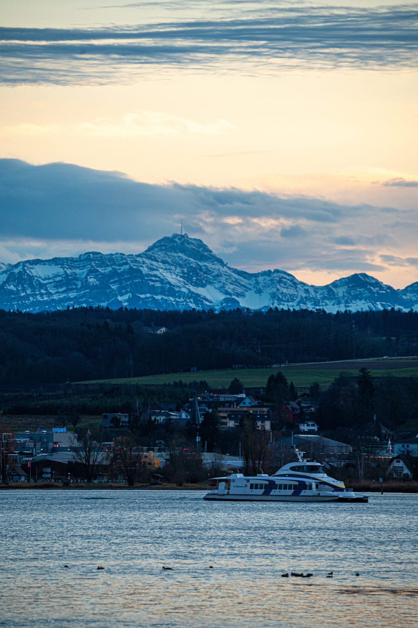 Retro-Reise: Januar 2025 – Winter am Bodensee