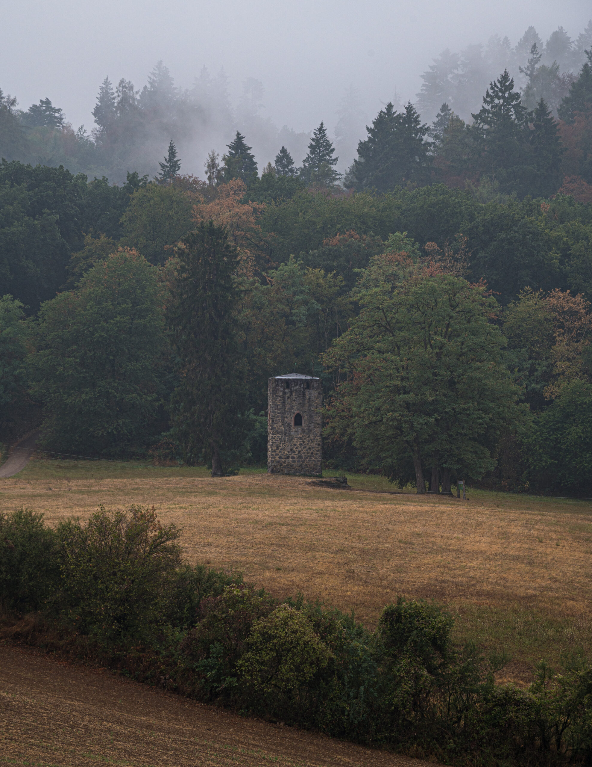 20260822 – Ein Turm im Wald